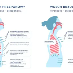 Ilustracje porównujące wdech przeponowy i brzuszny. Pokazują ruch przepony i klatki piersiowej podczas oddychania.