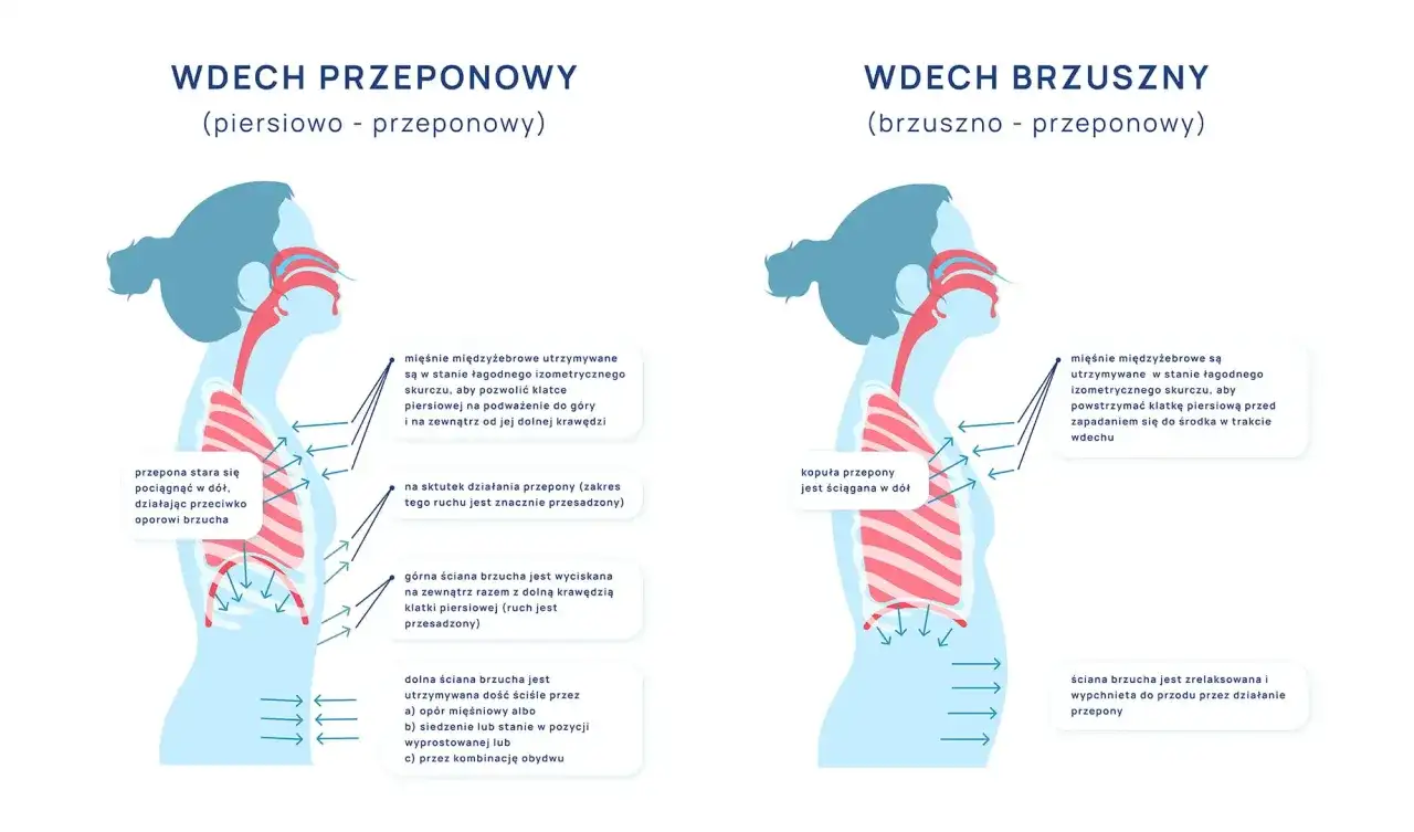 Wdech i wydech – Jak działa oddech i kiedy szukać pomocy?
