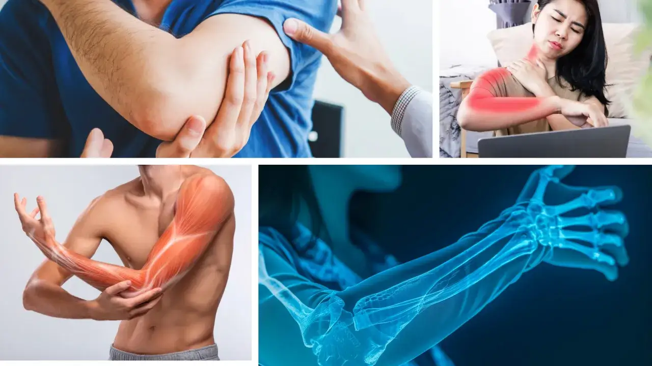 Ból ramienia, urazy i anatomia mięśnia ramiennego. Rentgen dłoni i przedramienia.