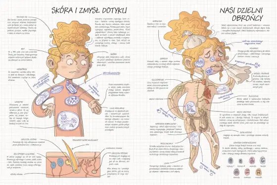 Fizjologia - Jak działa Twoje ciało? Anatomia to za mało!