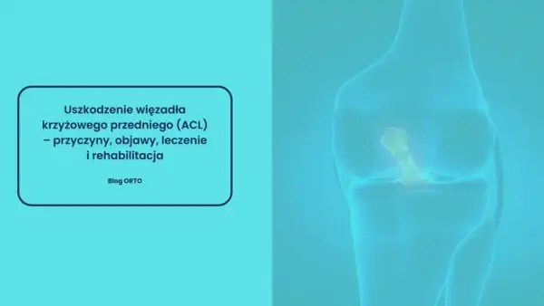 Anatomia kolana z widocznym uszkodzonym więzadłem krzyżowym przednim (ACL). Tekst informuje o przyczynach, objawach, leczeniu i rehabilitacji.